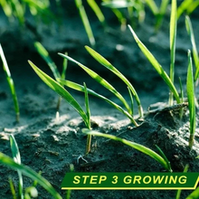 Load image into Gallery viewer, Biodegradable Grass Seed Mat,1 Roll 3M × 0.2M