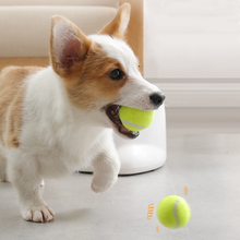 Load image into Gallery viewer, Automatic Interactive Dog Tennis Ball Launcher