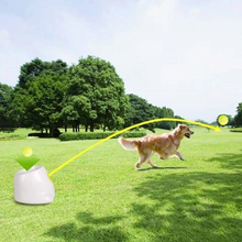 Load image into Gallery viewer, Automatic Interactive Dog Tennis Ball Launcher