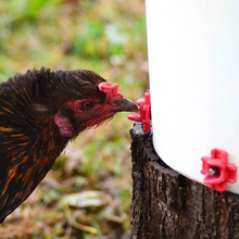 Load image into Gallery viewer, Horizontal Side Mount Chicken Waterer