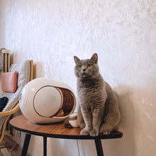 Load image into Gallery viewer, High-End Wireless Bluetooth Speaker