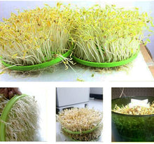 Load image into Gallery viewer, 💚Germination Machine-Healthy & Green💚