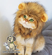 Load image into Gallery viewer, Adorable Pet Hat - Lion Mane Costume