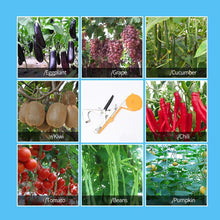 Load image into Gallery viewer, Professional Plant Tying Machine (Free Tapes and Staples)