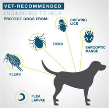 Load image into Gallery viewer, FLEA AND TICK COLLAR FOR DOGS&CATS-BUY 2 FREE SHIPPING