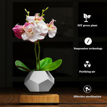Load image into Gallery viewer, The Flying Fern Magnetic Levitation Planter for Home & Office Decor
