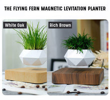 Load image into Gallery viewer, The Flying Fern Magnetic Levitation Planter for Home & Office Decor