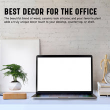 Load image into Gallery viewer, The Flying Fern Magnetic Levitation Planter for Home & Office Decor