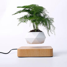 Load image into Gallery viewer, The Flying Fern Magnetic Levitation Planter for Home & Office Decor