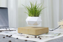 Load image into Gallery viewer, The Flying Fern Magnetic Levitation Planter for Home & Office Decor