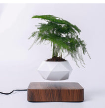 Load image into Gallery viewer, The Flying Fern Magnetic Levitation Planter for Home & Office Decor