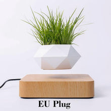 Load image into Gallery viewer, The Flying Fern Magnetic Levitation Planter for Home & Office Decor