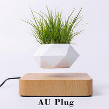 Load image into Gallery viewer, The Flying Fern Magnetic Levitation Planter for Home & Office Decor