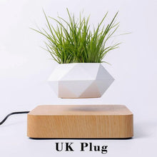 Load image into Gallery viewer, The Flying Fern Magnetic Levitation Planter for Home & Office Decor