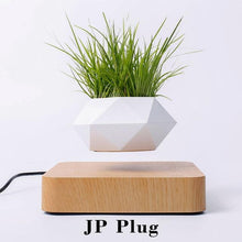 Load image into Gallery viewer, The Flying Fern Magnetic Levitation Planter for Home & Office Decor