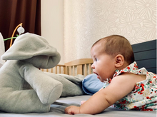 Load image into Gallery viewer, Can sing to appease the child-Elephant Plush Toy
