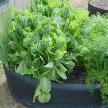 Load image into Gallery viewer, FABRIC RAISED BED--Buy 5 enjoy a 20% OFF
