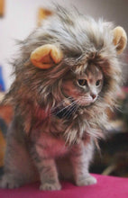 Load image into Gallery viewer, Adorable Pet Hat - Lion Mane Costume
