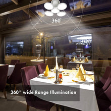 Load image into Gallery viewer, Football folding lights
