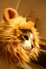 Load image into Gallery viewer, Adorable Pet Hat - Lion Mane Costume
