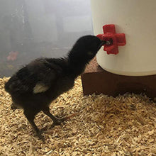 Load image into Gallery viewer, Horizontal Side Mount Chicken Waterer
