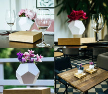 Load image into Gallery viewer, The Flying Fern Magnetic Levitation Planter for Home &amp; Office Decor
