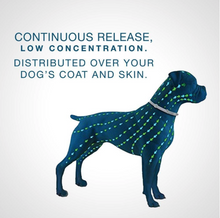 Load image into Gallery viewer, FLEA AND TICK COLLAR FOR DOGS&amp;CATS-BUY 2 FREE SHIPPING
