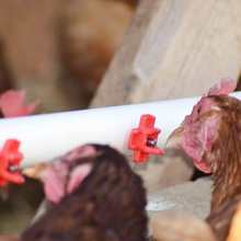 Load image into Gallery viewer, Horizontal Side Mount Chicken Waterer
