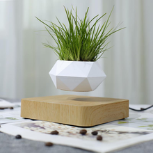 Load image into Gallery viewer, The Flying Fern Magnetic Levitation Planter for Home &amp; Office Decor
