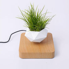 Load image into Gallery viewer, The Flying Fern Magnetic Levitation Planter for Home &amp; Office Decor
