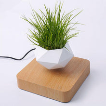 Load image into Gallery viewer, The Flying Fern Magnetic Levitation Planter for Home &amp; Office Decor
