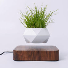 Load image into Gallery viewer, The Flying Fern Magnetic Levitation Planter for Home &amp; Office Decor
