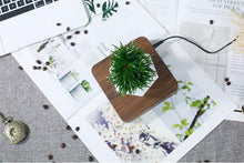 Load image into Gallery viewer, The Flying Fern Magnetic Levitation Planter for Home &amp; Office Decor
