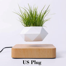 Load image into Gallery viewer, The Flying Fern Magnetic Levitation Planter for Home &amp; Office Decor
