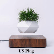 Load image into Gallery viewer, The Flying Fern Magnetic Levitation Planter for Home &amp; Office Decor
