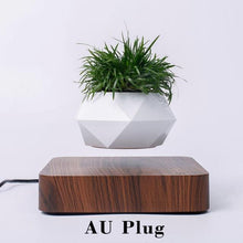 Load image into Gallery viewer, The Flying Fern Magnetic Levitation Planter for Home &amp; Office Decor
