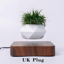 Load image into Gallery viewer, The Flying Fern Magnetic Levitation Planter for Home &amp; Office Decor
