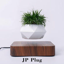 Load image into Gallery viewer, The Flying Fern Magnetic Levitation Planter for Home &amp; Office Decor
