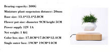 Load image into Gallery viewer, The Flying Fern Magnetic Levitation Planter for Home &amp; Office Decor
